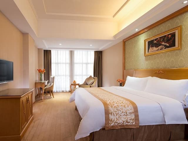 Vienna - Deluxe Room