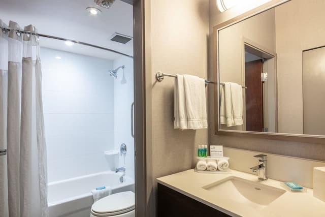 Suite, 1 Bedroom, Kitchen