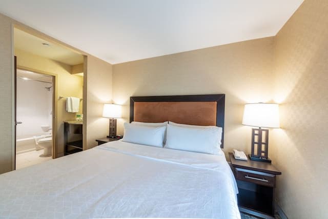 Suite, 1 King Bed