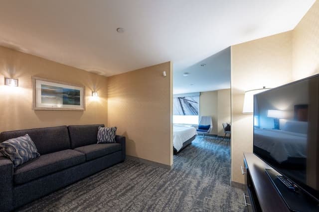 Suite, 1 King Bed with Sofa bed