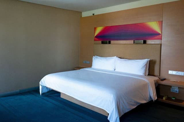 Superior Single Room