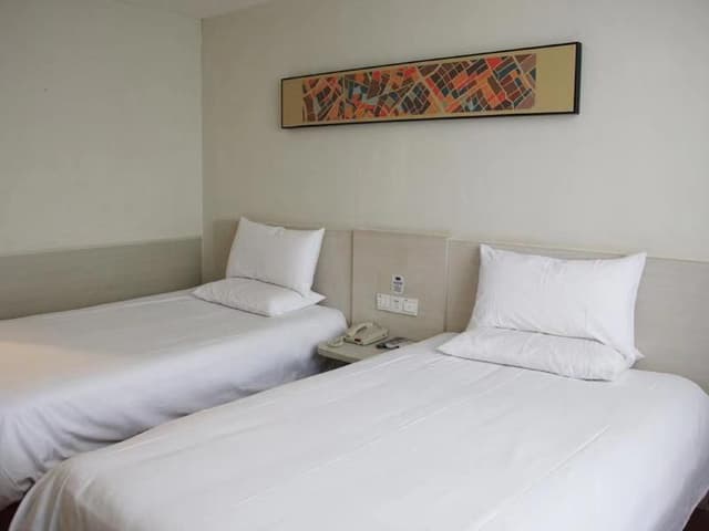 Guest Twin Room