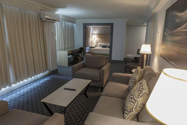 Premium Suite