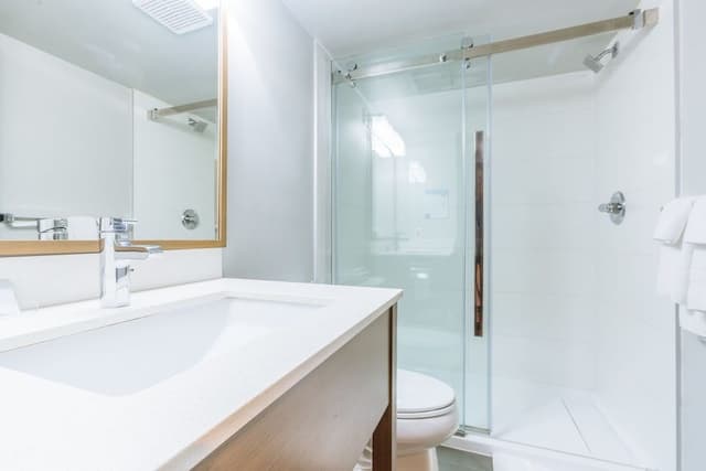 Standard Room, 1 King Bed, Non Smoking (Shower Only)