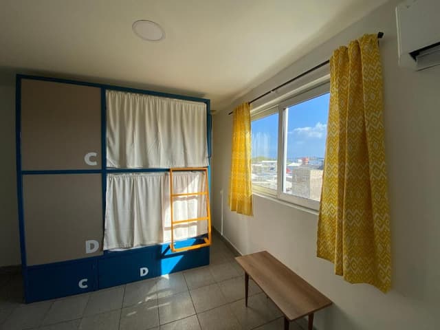 Bed in 8-Bed Mixed Dormitory Room with Private Bathroom