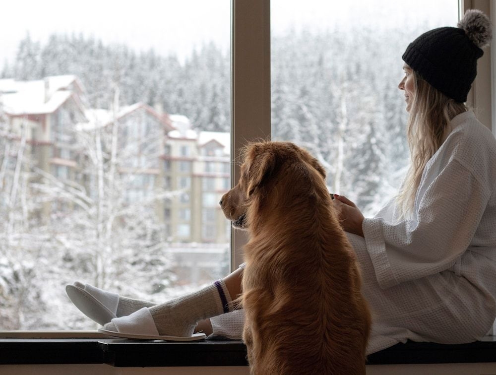 Aava Whistler Hotel1