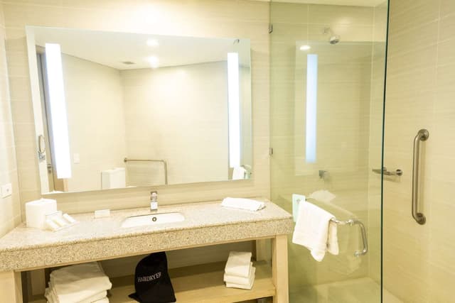 1 KING MOBILITY/HEARING ACCESSIBLE RI SHWR