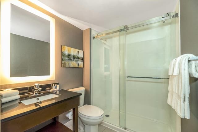 Suite, 1 King Bed, Non Smoking