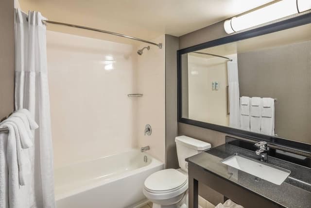 Room, 1 King Bed
