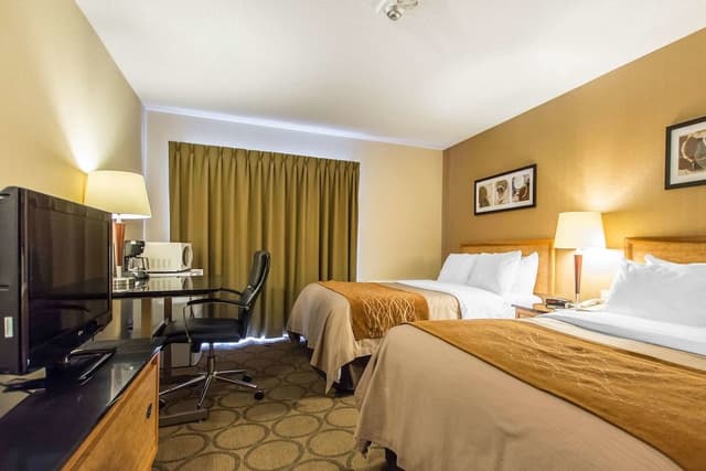 Comfort Double Room, 2 Double Beds, Ground Floor
