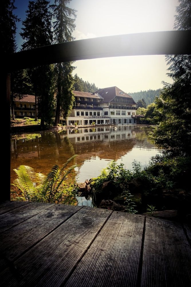 Hotel Langenwaldsee1