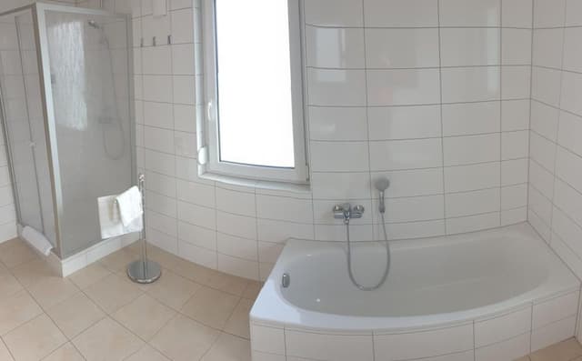 Business Apartment