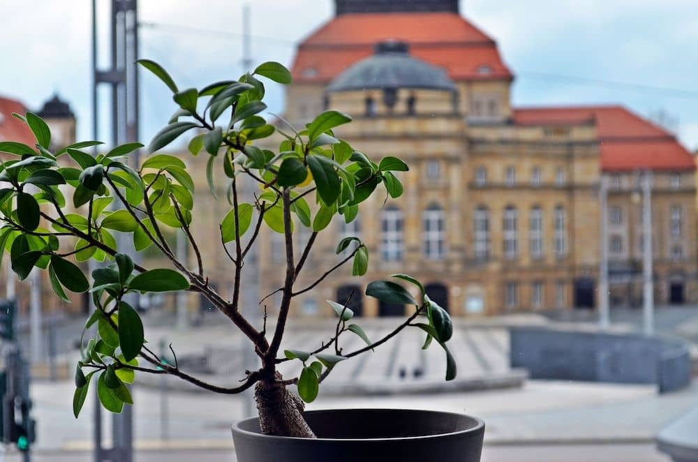 Hotel an der Oper Hotel an der Oper