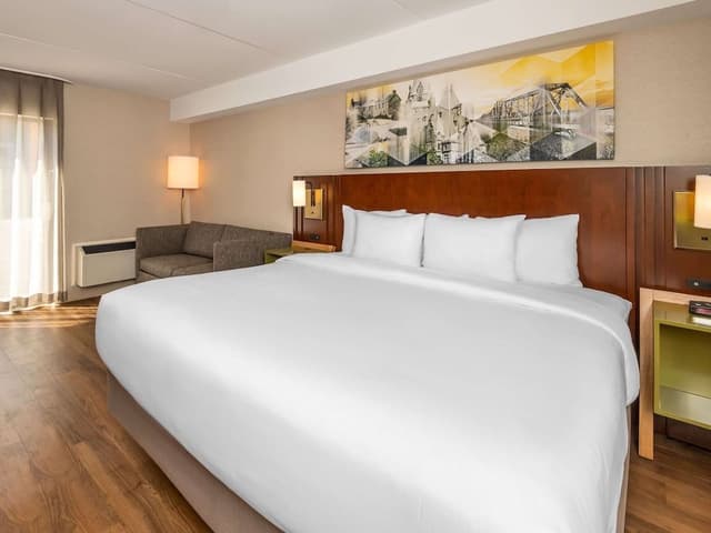 Room, 1 King Bed, Non Smoking (Pet Friendly)