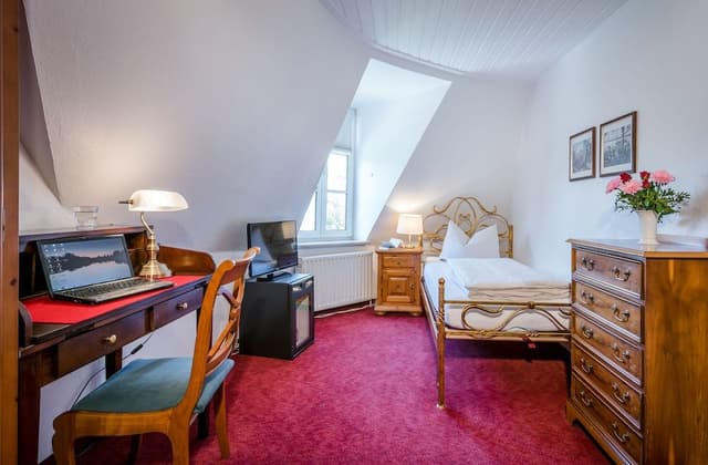 Single Room, 1 Queen Bed