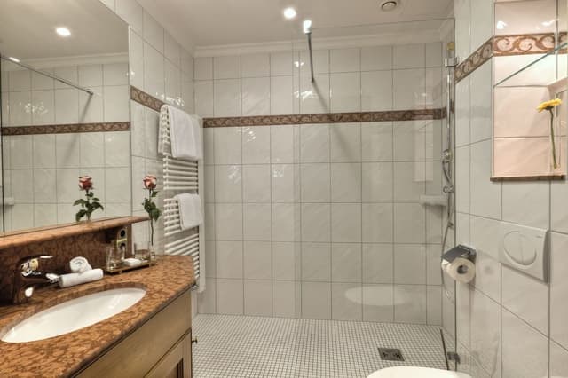 Superior Single Room
