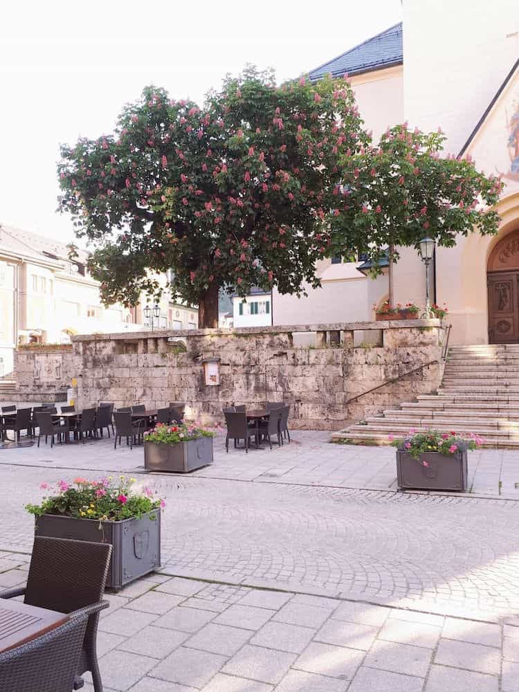Gasthof zum Rassen Gasthof zum Rassen