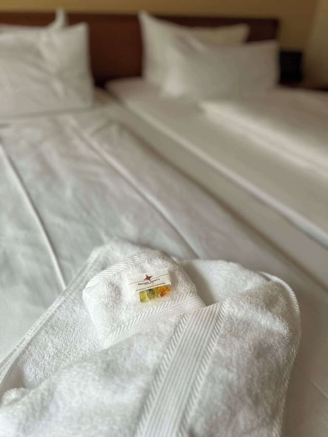 Standard Room, 2 Twin Beds