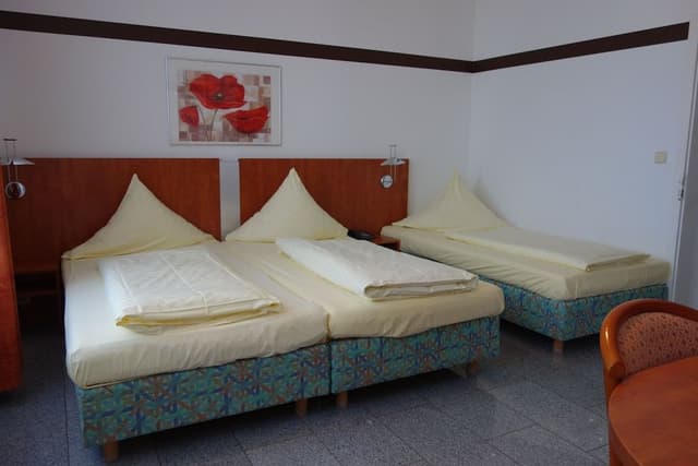 Suite, 1 Bedroom, Allergy Friendly