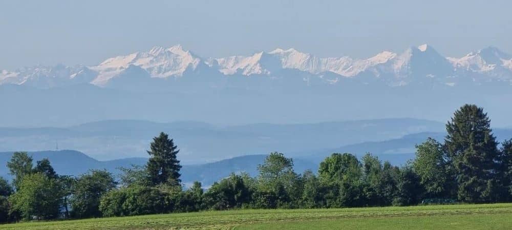 Bio- und Wellnesshotel Alpenblick Bio- und Wellnesshotel Alpenblick