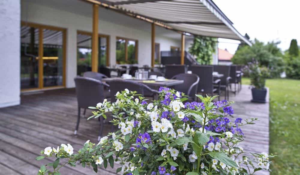 Hotel Lindenhof Hotel Lindenhof