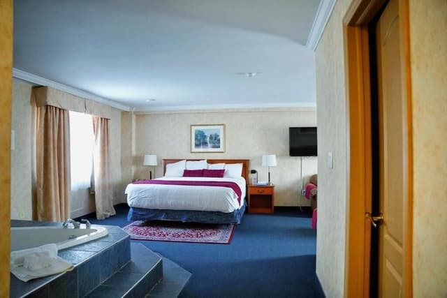 Executive Suite, 1 King Bed with Sofa bed, Non Smoking, Jetted Tub