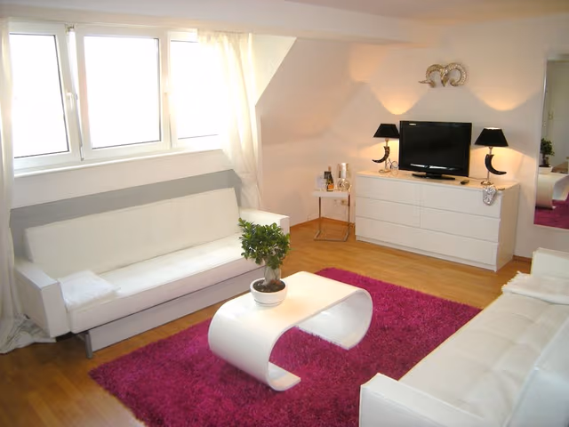 Basic Penthouse, 1 Double Bed, Terrace