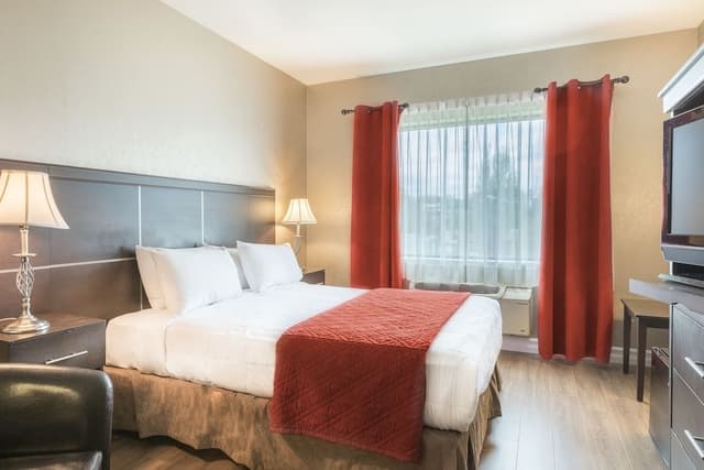 Economy Room, 1 Queen Bed
