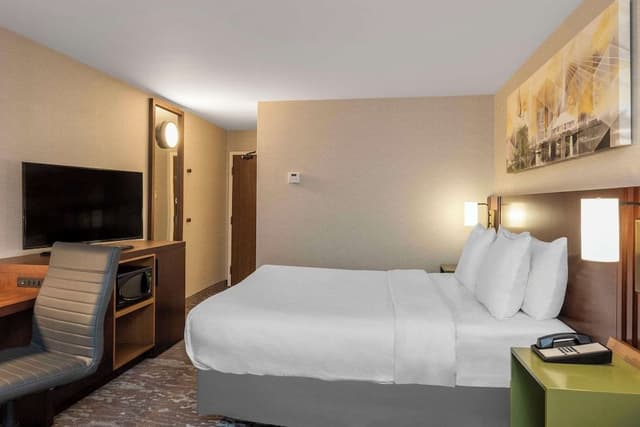 Room, 1 King Bed with Sofa bed, Non Smoking