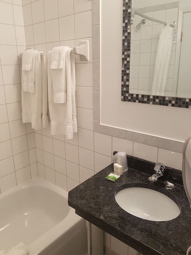 Suite, 1 Queen Bed with Sofa bed