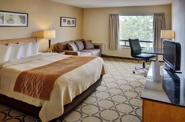 Standard Room, 1 Queen Bed with Sofa bed (Second Floor)