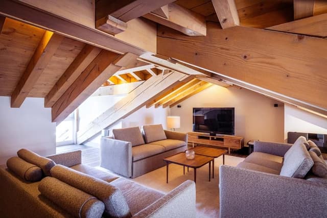 Penthouse Apartment