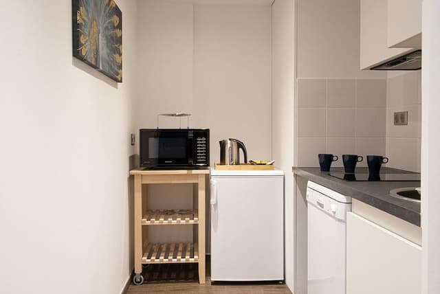 Superior Family Apartment (2 Bedroom)