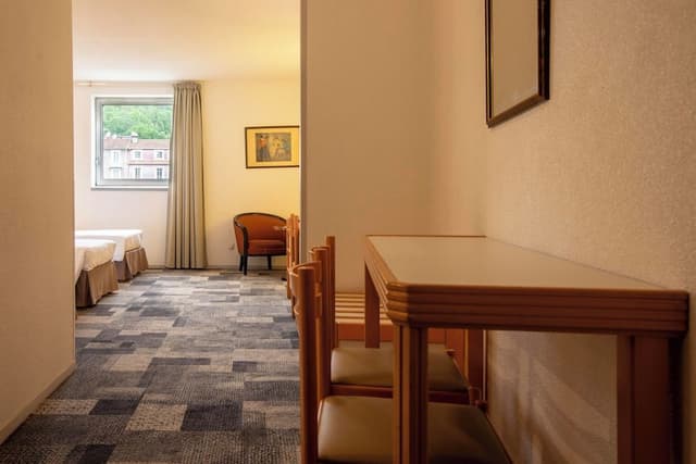 Family Triple Room (2 adultes and 1 enfant)