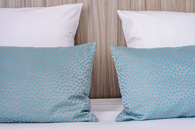 Classic Single Room, 1 Queen Bed