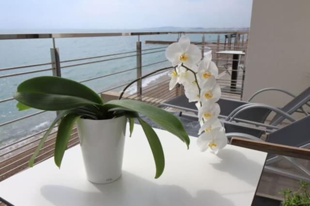 Classic Double Room, Sea View