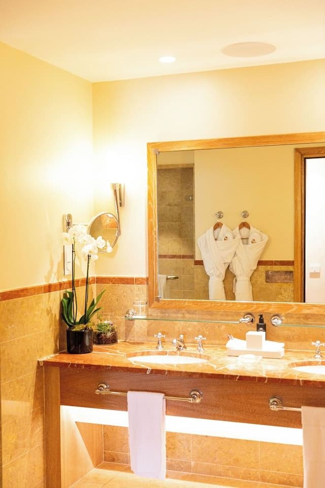 Premier Suite (King)