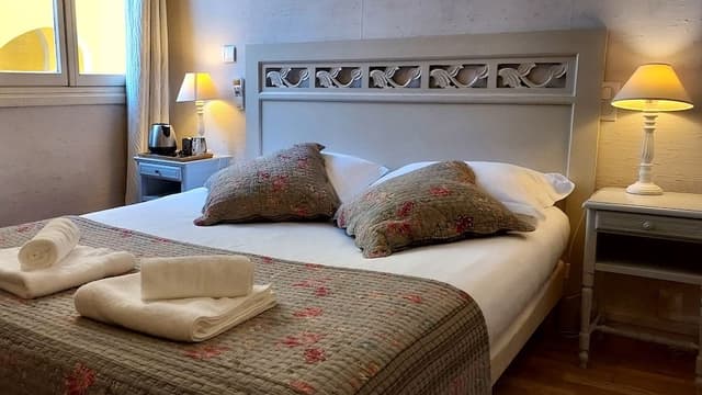 Standard Single Room, 1 Double Bed