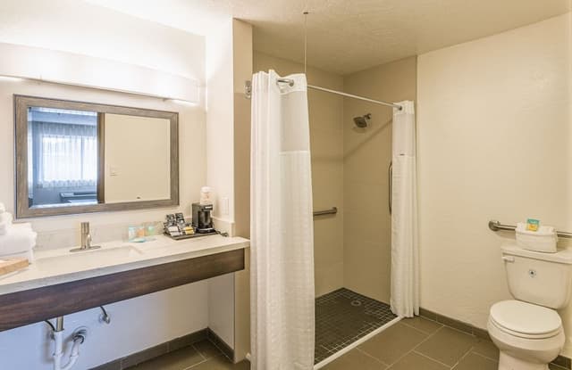 Single Room, 1 King Bed with Sofa bed, Accessible, Private Bathroom