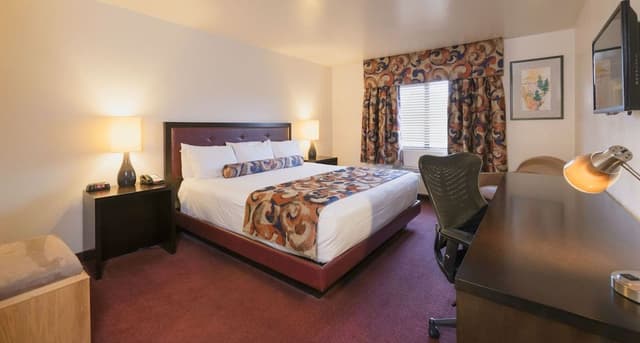 Suite, 1 King Bed with Sofa bed
