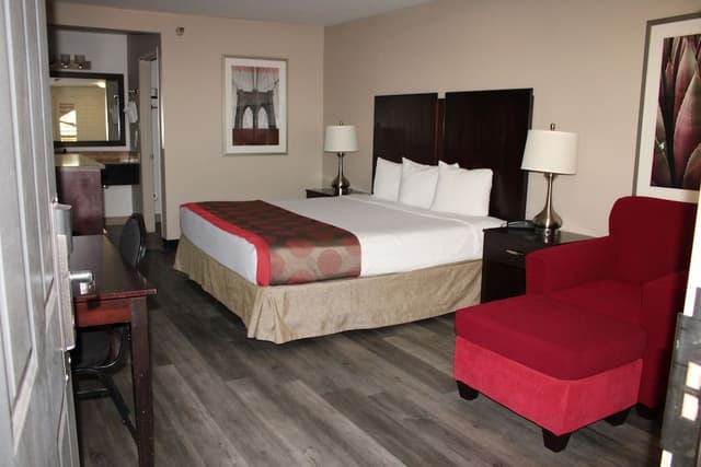 Comfort Single Room