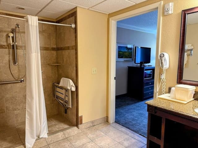 Standard Room, 1 Queen Bed, Roll-in Shower, Non Smoking