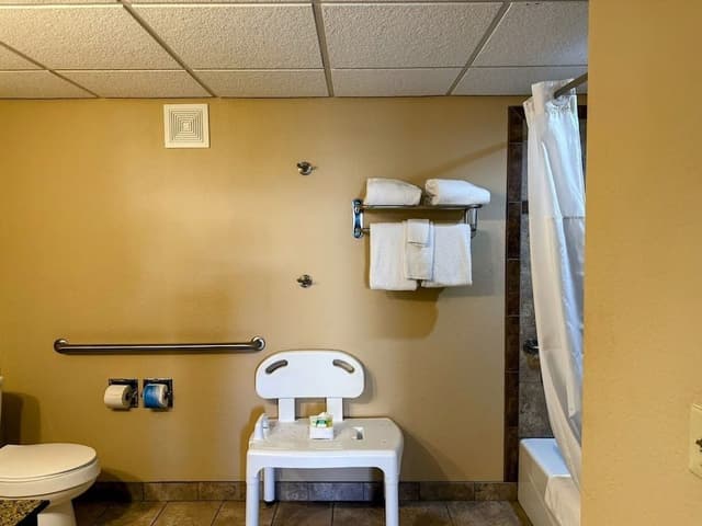 Standard Room, 1 Queen Bed, Accessible, Bathtub