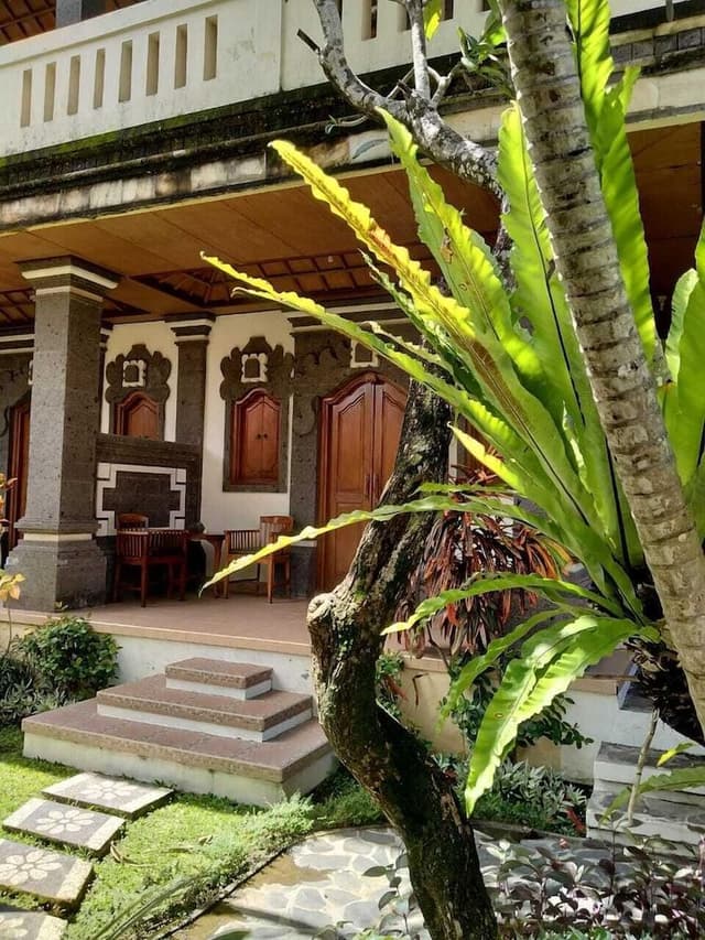 Deluxe Garden