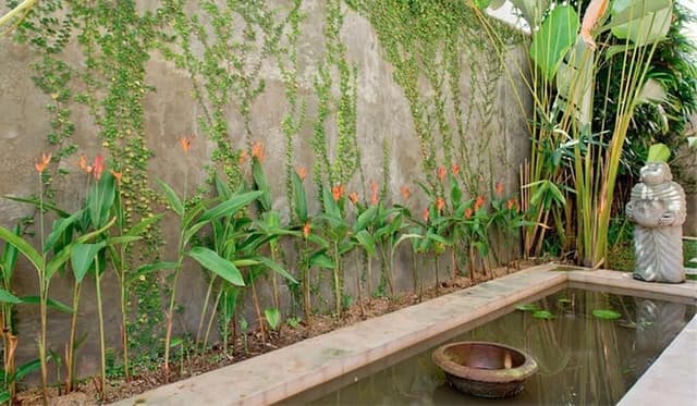 Villa, 2 Bedrooms (Tunjung)