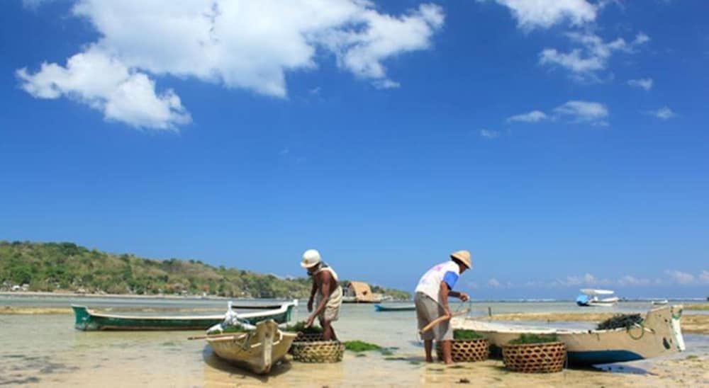 TS Hut Lembongan0