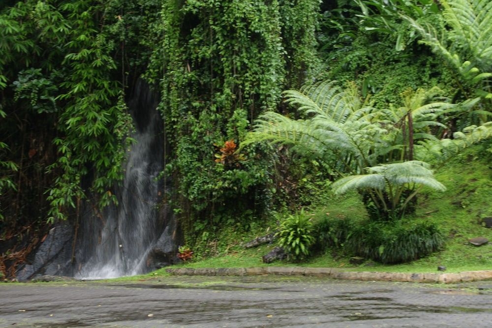 Yeh Panes Bali0
