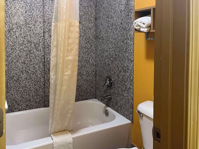 Deluxe Room, 1 Queen Bed, Smoking, Refrigerator & Microwave