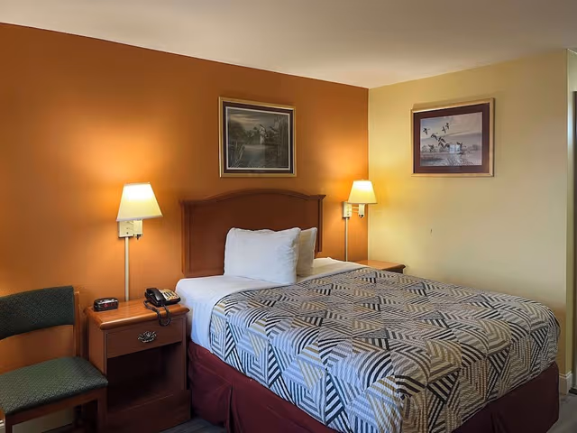 Deluxe Room, 1 Queen Bed, Smoking, Refrigerator & Microwave
