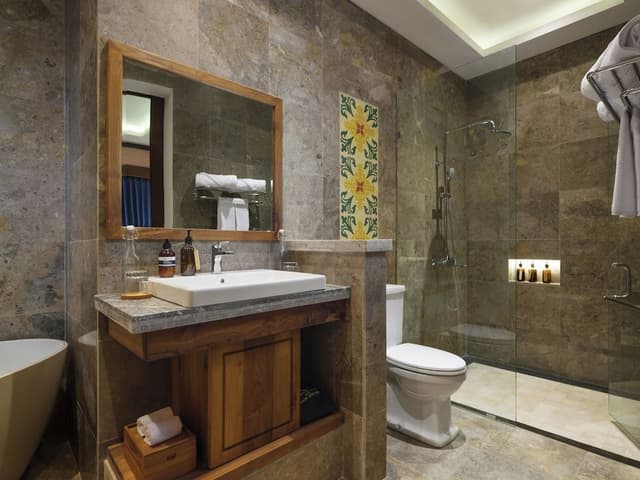 Deluxe Suite Room